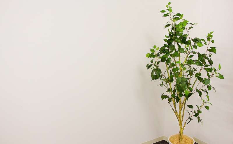 写真・動画撮影にも映える白い壁！！