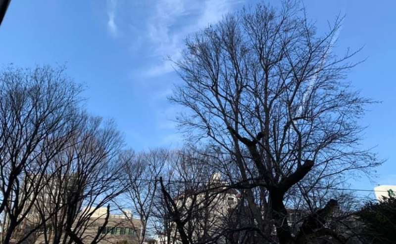 窓から西池袋公園が見えます。景色よし。