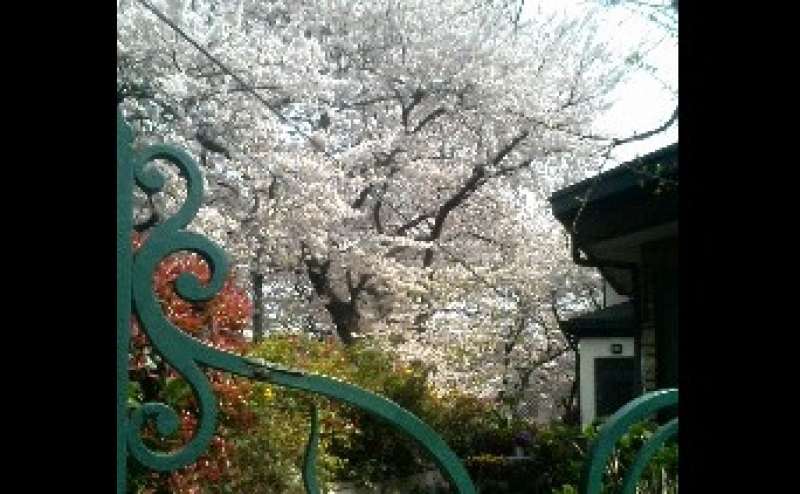 四季折々 コンサート企画してご利用ください