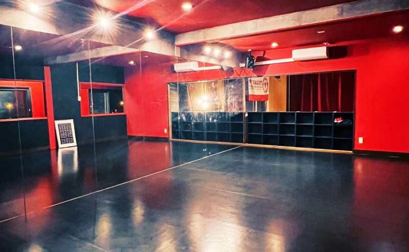 ZEELEdancestudioのアクセス1