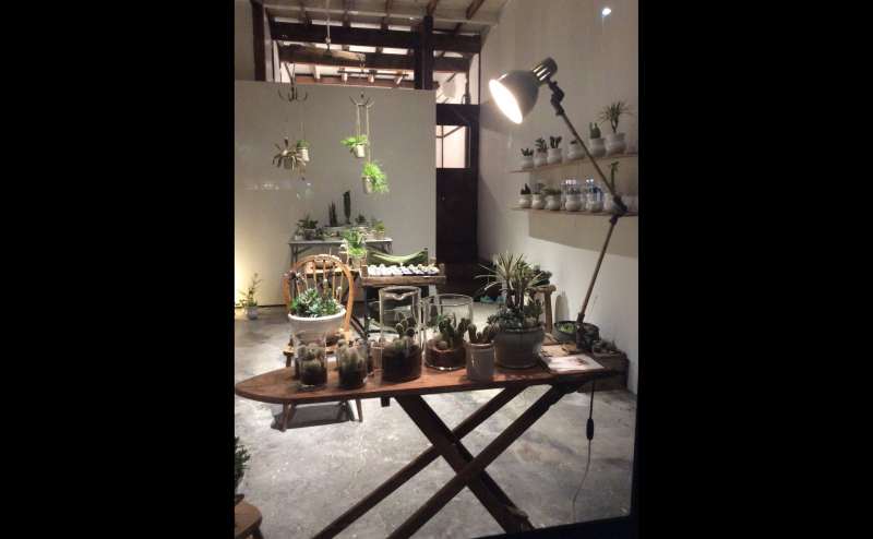 多肉植物のポップアップストアです。（期間限定）