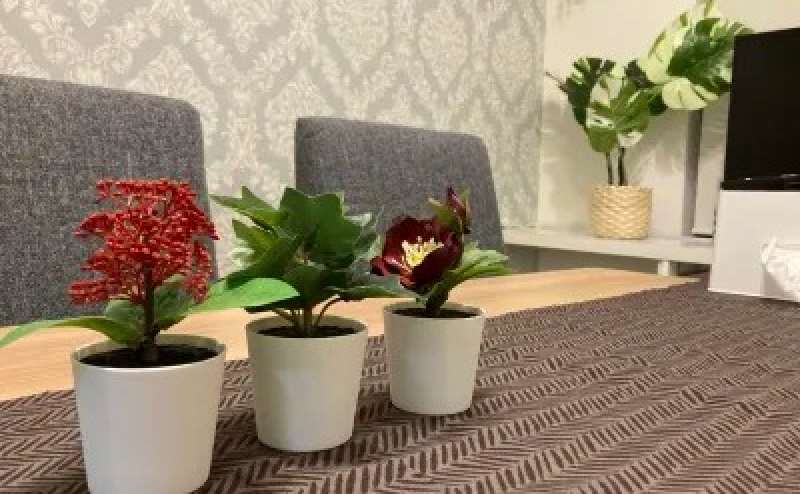 北欧風ディスプレイのオシャレなスペース。写真や動画の撮影、配信にも