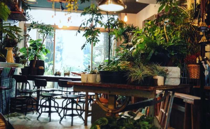 桜坂駅近の植物あふれるプランツカフェ‐on the leaf