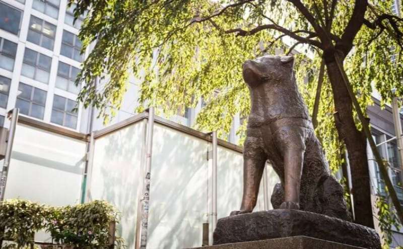 渋谷のレンタルスペースまとめ