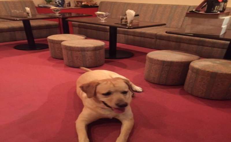 BARの可愛い看板娘です。❤️