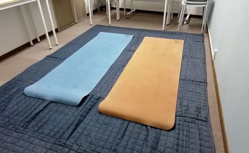 土足利用のため、ラグを敷いた上にヨガマットを敷いてご利用ください。ラグの大きさは200cm×300cm