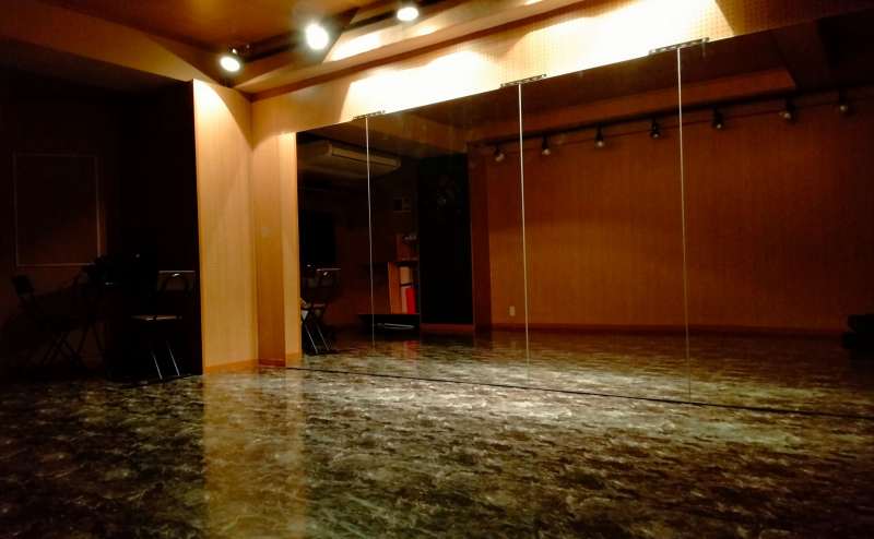 ダウンライト可能