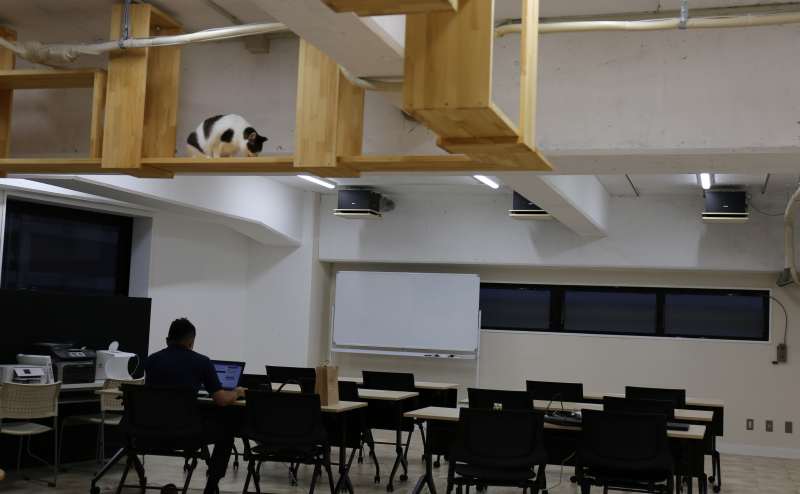 ネコネコワーキングスペース