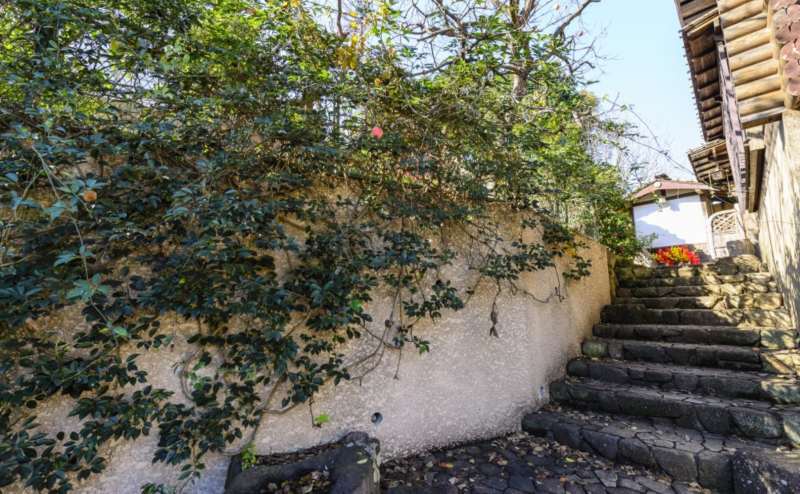 趣ある階段 撮影場所にいかかでしょうか