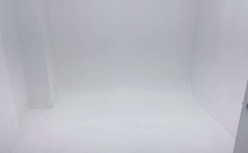 白ホリゾントエリア