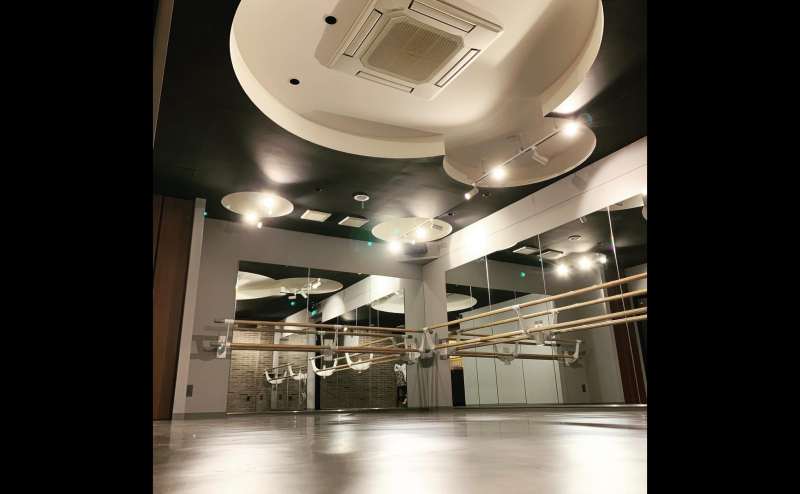 空調設備、空気清浄機、バレエバー有り。