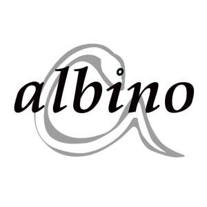 rental gallery space albino