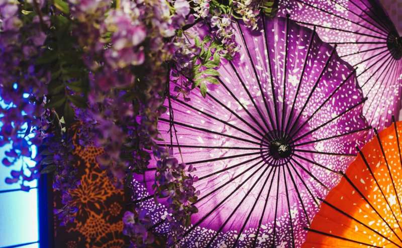 障子や行燈、和傘など撮影小物も充実しています
