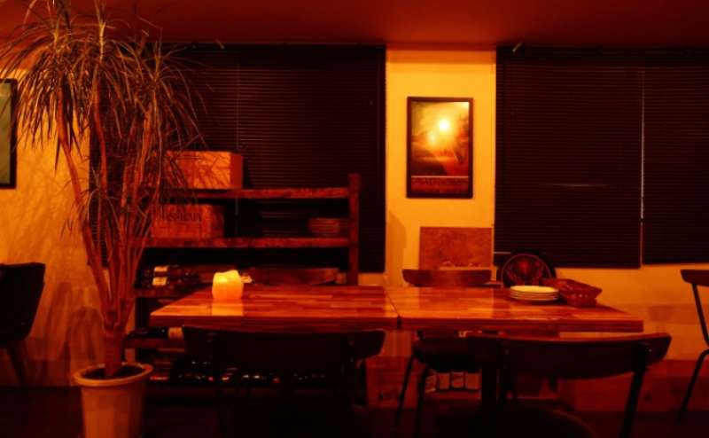 観葉植物もあり南国の雰囲気のスペースとなっております