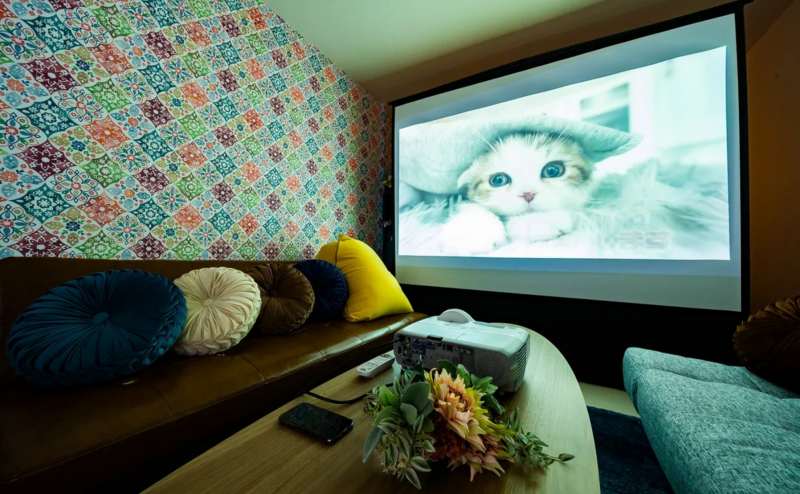 プロジェクター（有料オプション）利用で100インチスクリーンに投影できます。上映会や試写会に