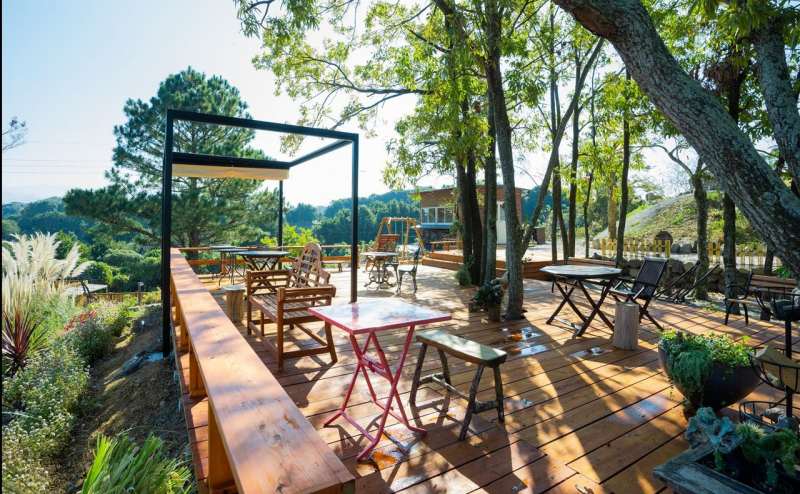 Haretokidエリア北面カウンター