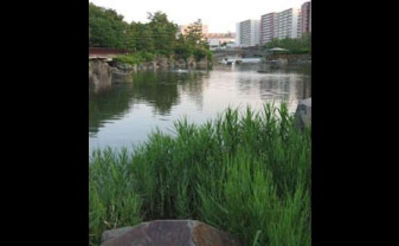 タクシーでワンメーター。雰囲気の違う写真が撮れます