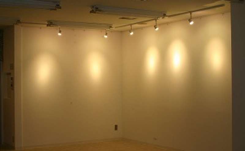 ピクチャーレール・スポットライトもございます。