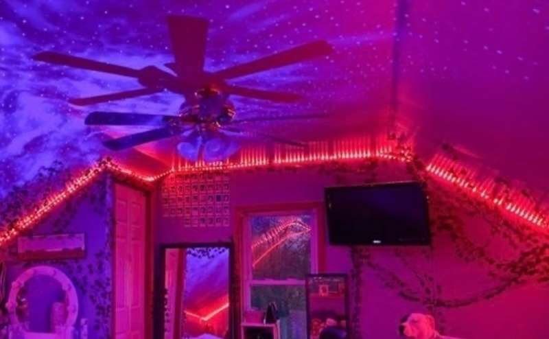 あるよ？8kTV/立体音響/全料理家電/写真映え異空間/全ゲーム機