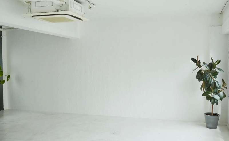 ニュアンスのある白塗壁。ポートレートや商材の撮影にもおすすめです。ペット可