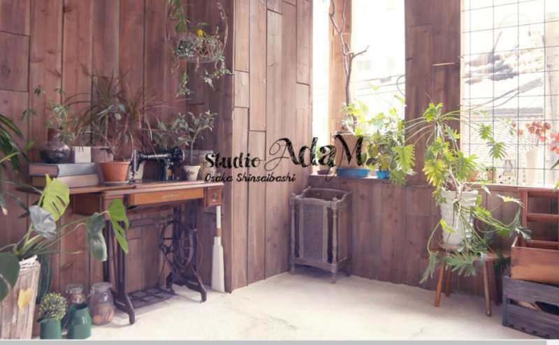 グリーンのご用意がございます 窓からの優しい光と相まってとてもきれいなスペースとなっております