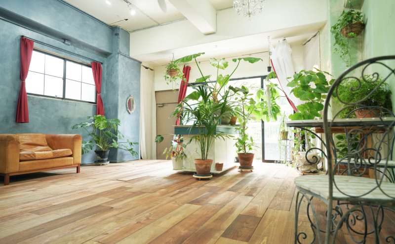 レンタルスペース STUDIO67 River 有楽町線 江戸川橋駅 徒歩７分 緑あふれる撮影スタジオ パーティー 展示会にもご利用いただけます