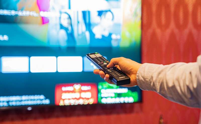 シアターも見放題