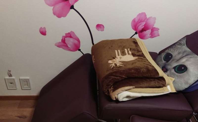 【池袋サンシャインシティ】駅近でSNS映え☆おしゃれなレンタルサロン☆リーズナブルにご利用いただけます♬水野整体院いかりや腸助