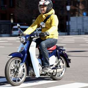 リチャードソンジリス