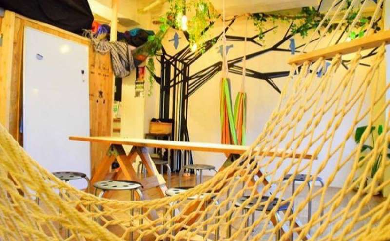 ハンモックが常備されています