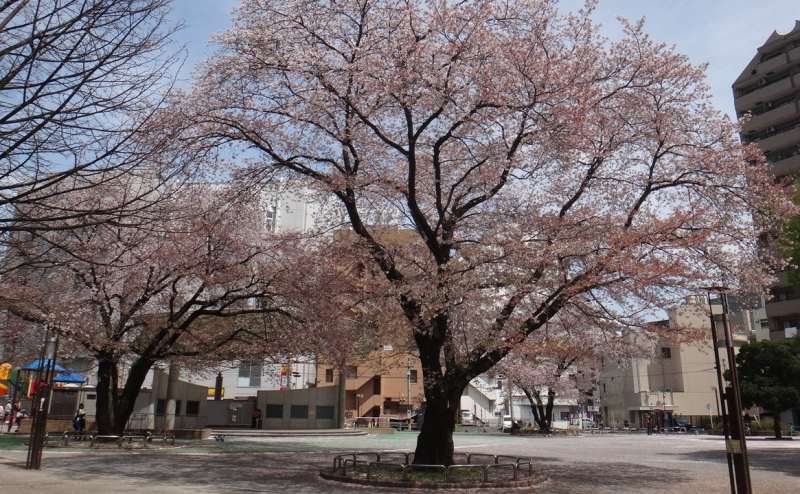 小田急線「本厚木」駅徒歩3分 レンタルスペースサロン「ぽっぽスタイル」のアクセス1