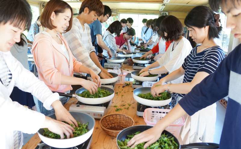 お茶つくりワークショップの様子