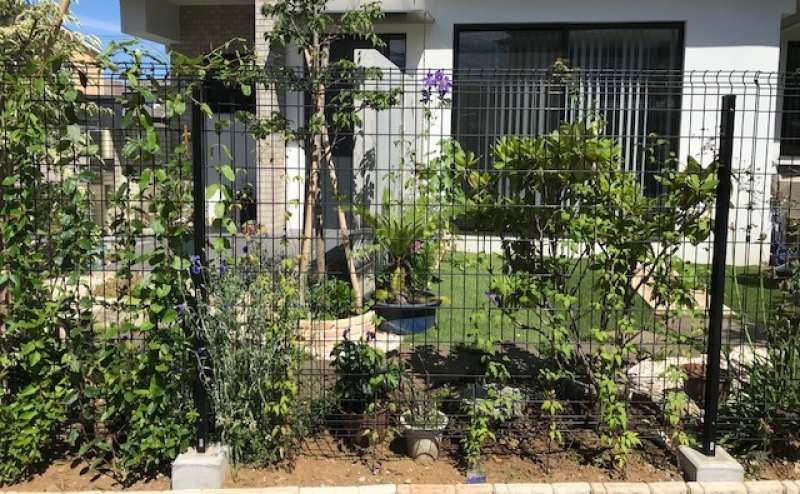 建物と庭一体でガーデンパーテイーも出来ます