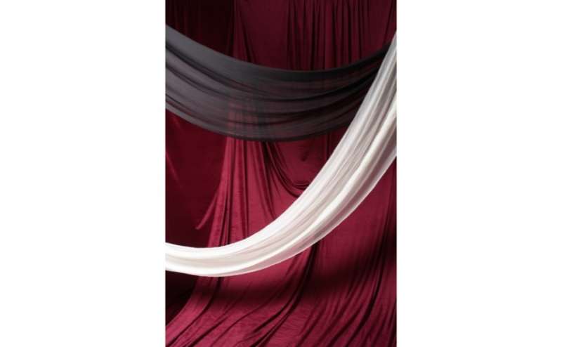 ベロア調（エンジ）