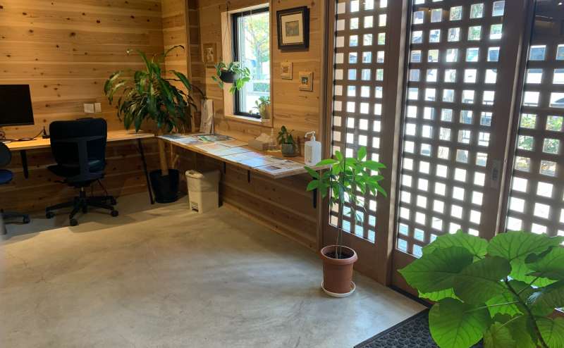 木の温もりとグリーンが豊富な空間