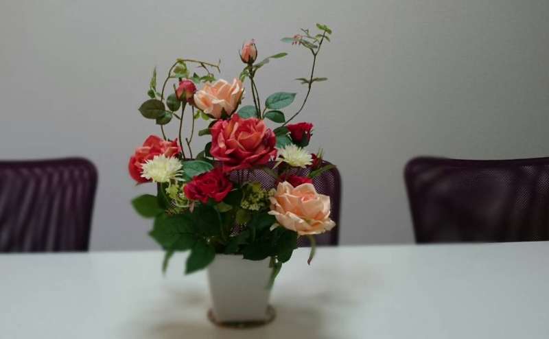 鑑賞用、撮影、インタビュー用にご利用いただけます。