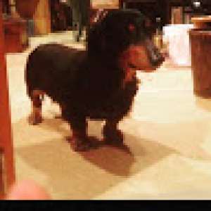 レンタルスタジオLush