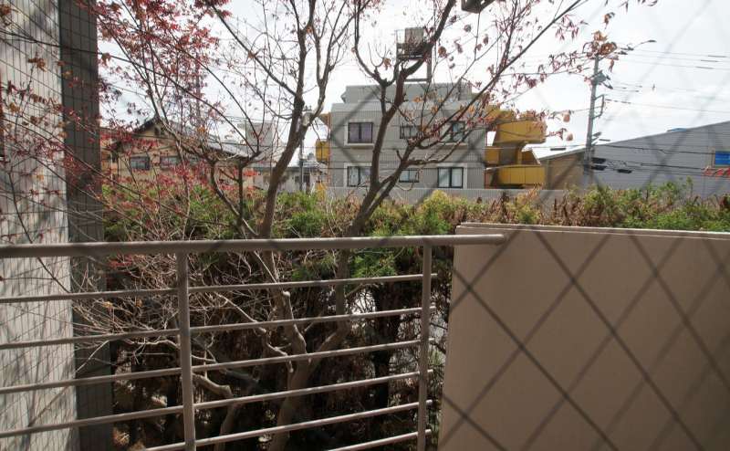 室内からの眺め