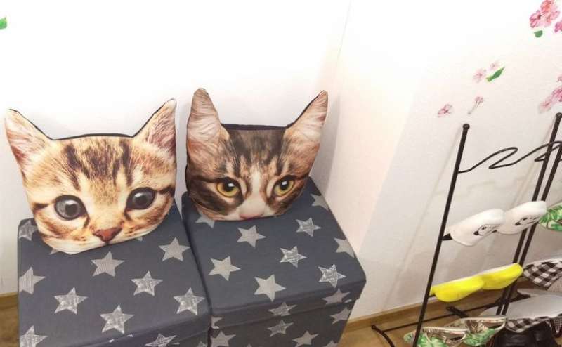 SNS映えするオシャレかわいいインテリアが多数