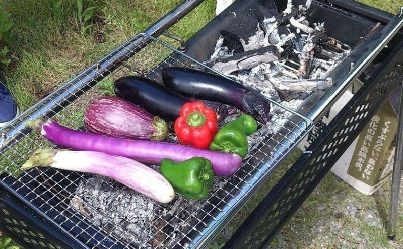 広々としたお庭で BBQをお楽しみください