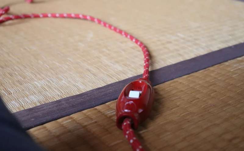 昔懐かしい炬燵の手元スイッチ