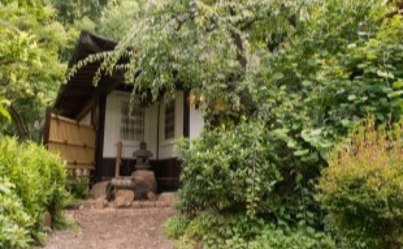 鬱蒼と茂った木々が夏は涼しげに感じさせます