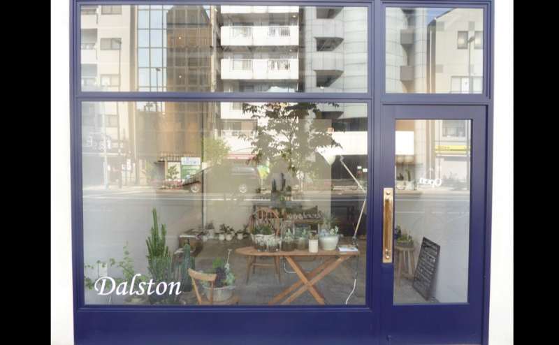 多肉植物のポップアップストアです。（期間限定）