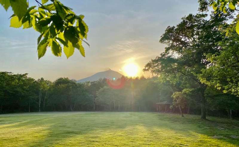 スカイフィールド