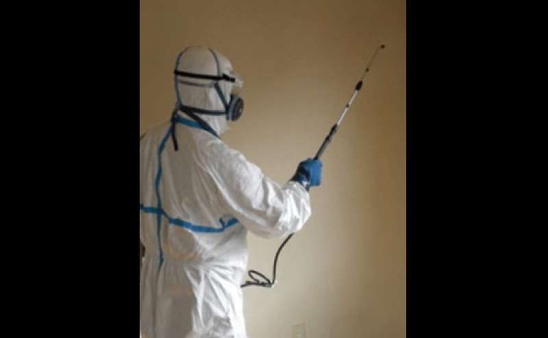 木下抗菌サービス導入